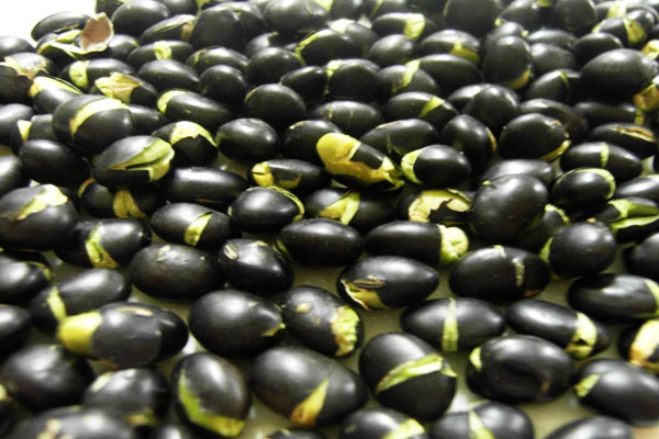 Puffed Black Bean