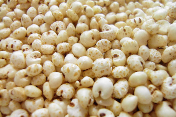 Puffed Millet